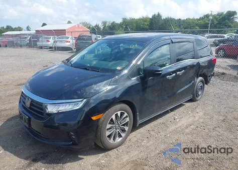 2021 Honda Odyssey Ex-L z USA, uszkodzony, nr VIN 5FNRL6H71MB012104